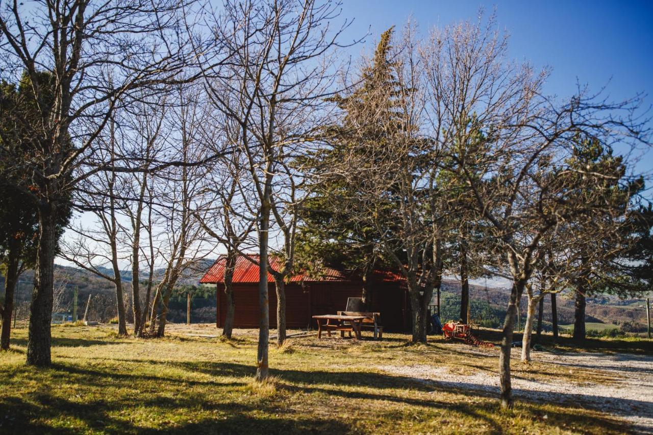 Le Radici Villa Isola del Piano Exterior photo